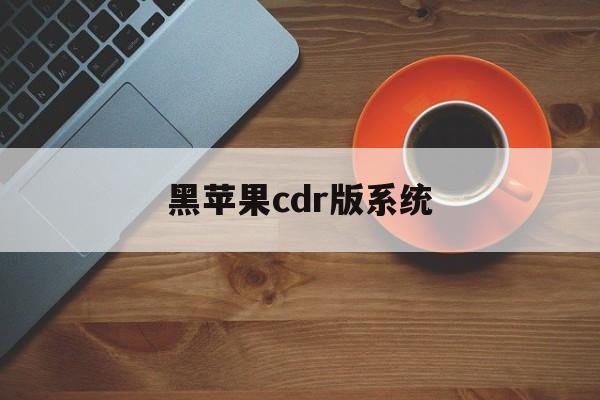 黑苹果cdr版系统(黑苹果cdr u盘安装教程)-第3张图片-有道翻译官网