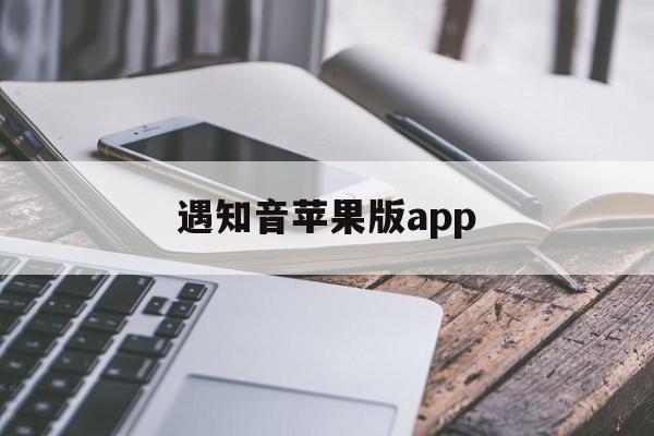 遇知音苹果版app(遇知音是什么意思请问)-第4张图片-有道翻译官网 遇知音苹果版app(遇知音是什么意思请问)-第4张图片-有道翻译官网