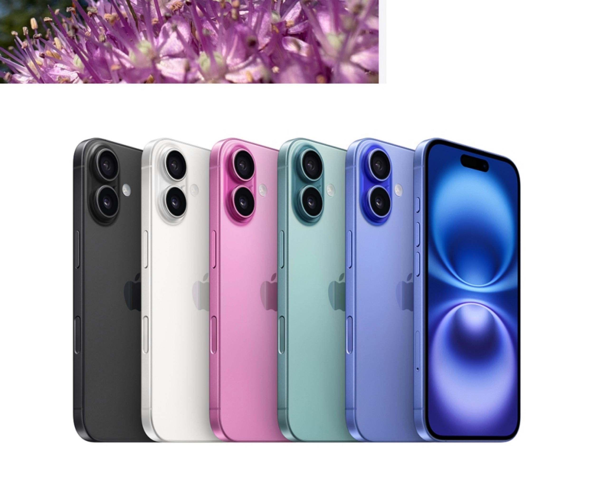 us版苹果是啥(iphoneus版是什么)-第16张图片-有道翻译官网