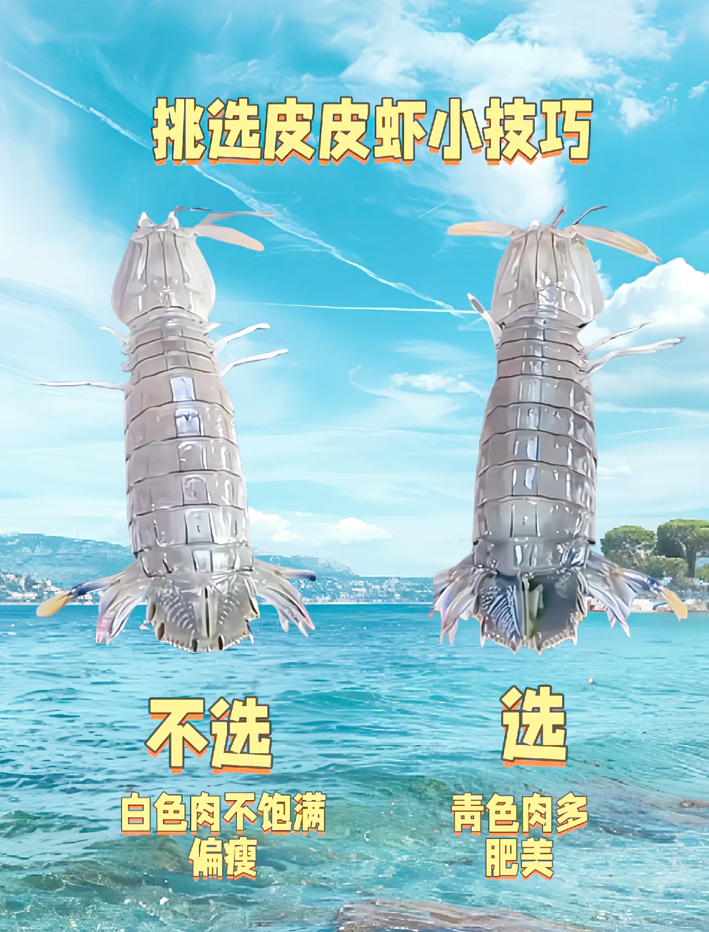 苹果网页版虾皮(虾皮ios为什么登不进去账号)-第3张图片-有道翻译官网 苹果网页版虾皮(虾皮ios为什么登不进去账号)-第3张图片-有道翻译官网