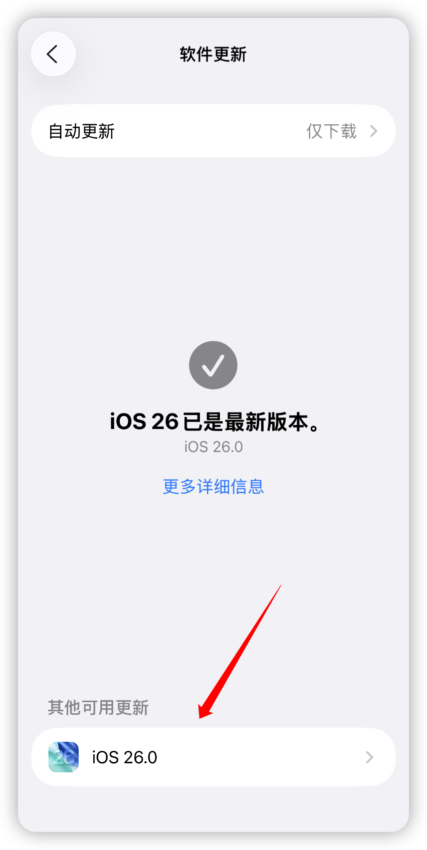 苹果测试版回到正式版(iphone测试版如何回到正式版)-第3张图片-有道翻译官网