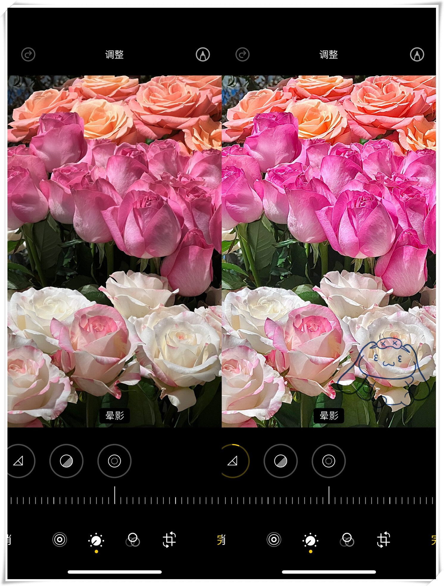 摄影后期苹果版叫什么版的简单介绍-第8张图片-有道翻译官网